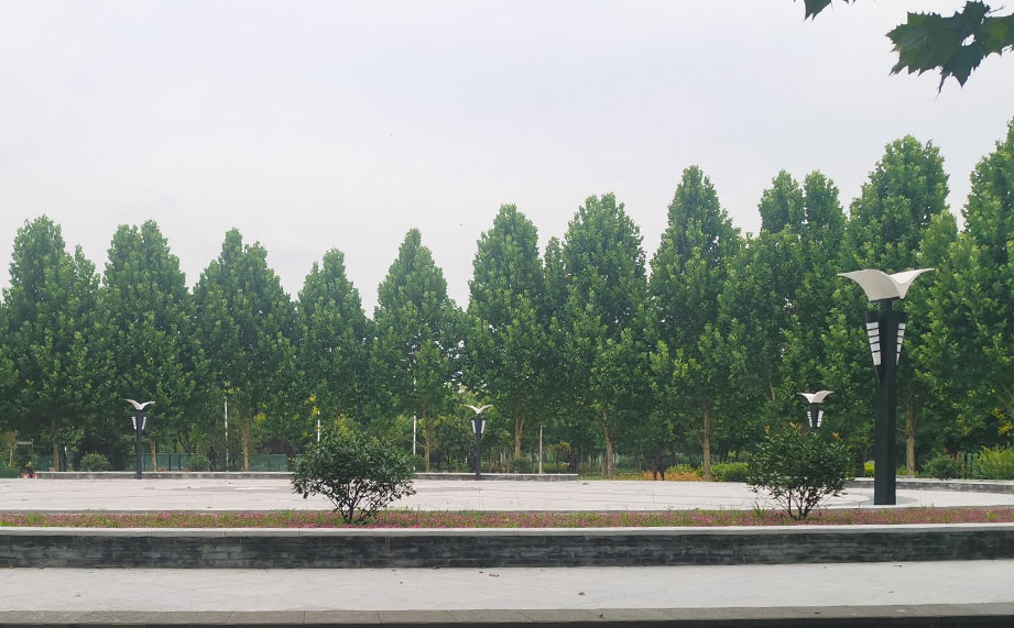 景觀燈，公園景觀燈.jpg